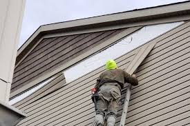 Best Custom Siding Design  in Plentywood, MT